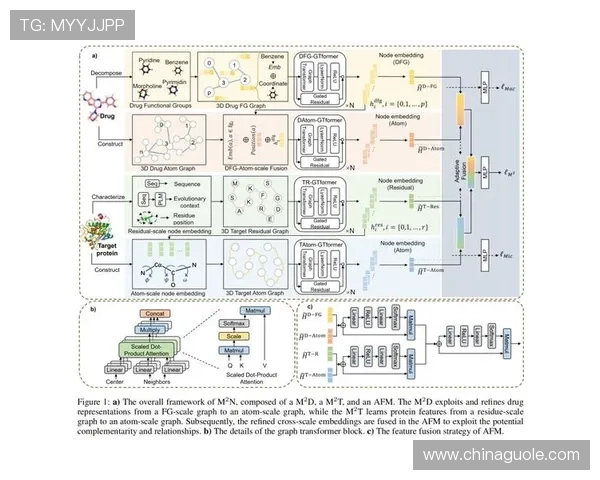 赛后体育模型预测速查版解析与盘口分析指南