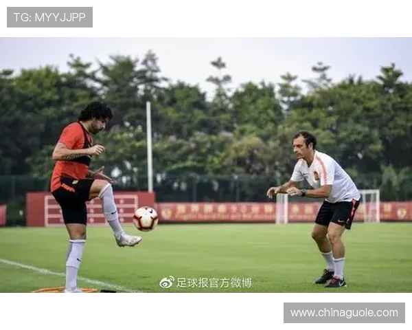 足球报浙江队掌握多名外援归化球员最新动态与加盟意向情况进展