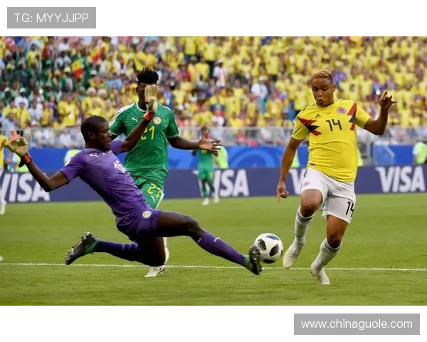 非洲杯决赛前瞻：两强对决谁能笑到最后精彩赛前分析