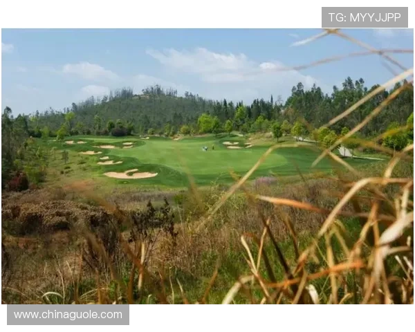 乐道体育携手创新科技 引领未来体育产业发展新风潮