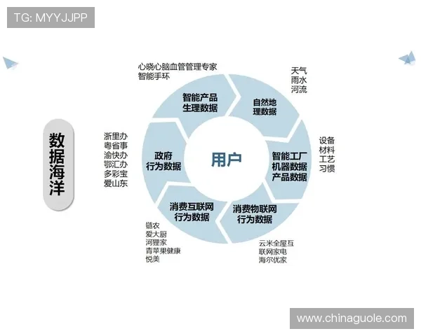 以8博创新视角解析数字经济时代的发展机遇与挑战