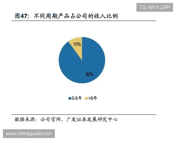 维基体育全面解析全球运动项目发展历史与竞技文化趋势