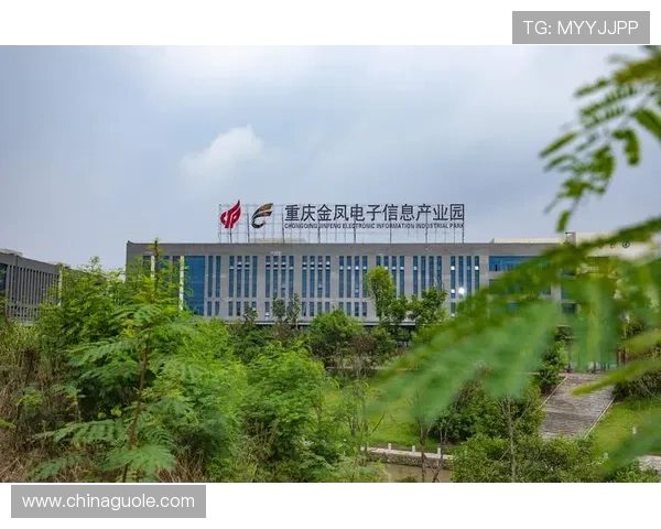 DB旗舰引领智能科技新时代，打造高性能创新产品生态圈