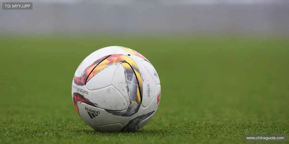 🏇马术优雅，掌控每一步节奏🐎